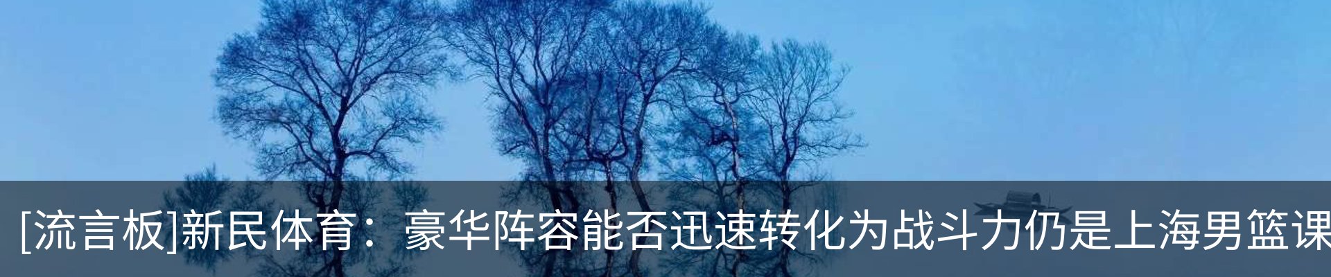 最新动态